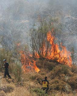 Controlado el incendio forestal declarado en un paraje de Casares (Málaga)