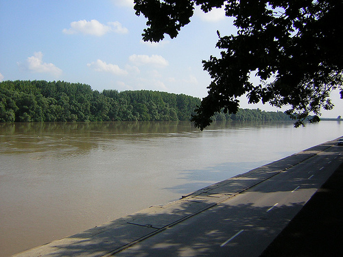 La conservación del avión zapador y los ecosistemas fluviales a análisis en el Aula de Ecología Urbana de Vitoria-Gasteiz