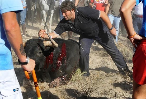 Te explicamos todo y más sobre ‘El Toro de la Vega’