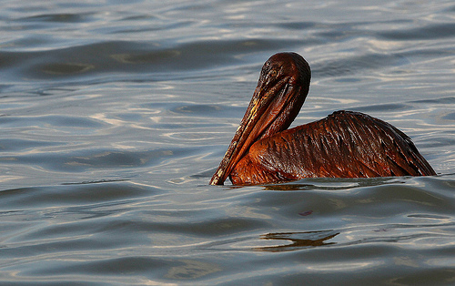 China moviliza 800 embarcaciones para contener el vertido de petróleo