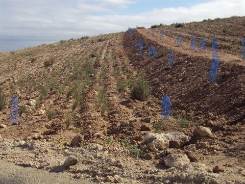 Recuperada la antigua escombrera de la térmica de Carboneras