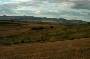 Todo ‘atado’ para evacuar la energía generada por la futura planta de biomasa de Castañares (La Rioja)