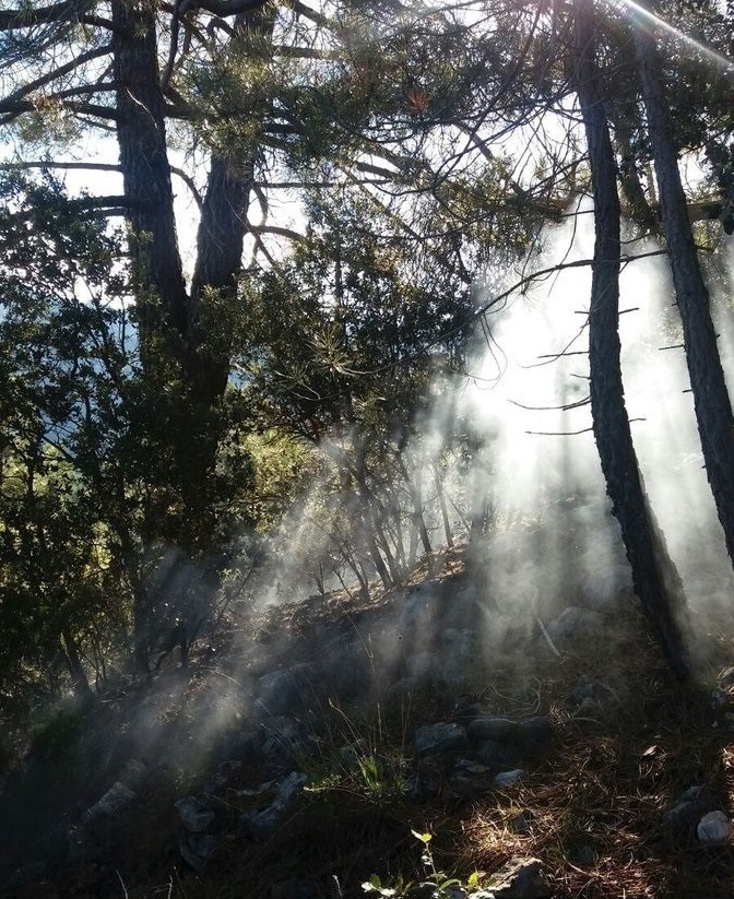 El Infoca da por controlado el incendio en Segura de la Sierra