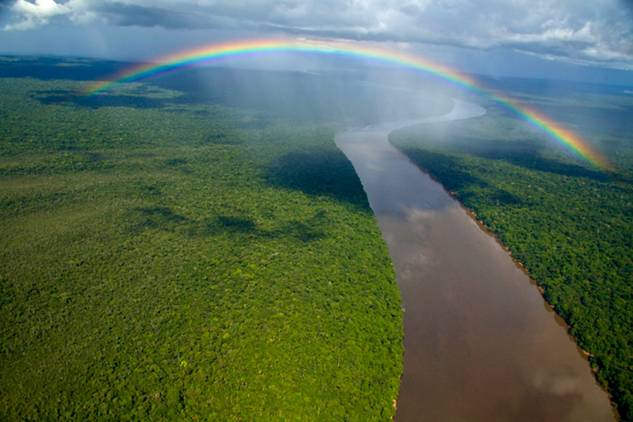 Crearán el corredor ecológico más grande del mundo