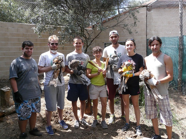 Voluntarios internacionales llegan al hospital de fauna de GREFA para ayudar a la biodiversidad