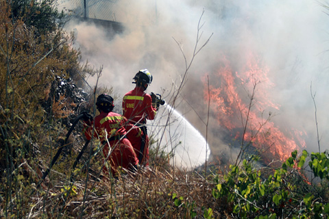La UE no concederá ayudas del fondo de solidaridad para el incendio forestal del pasado verano en Valencia