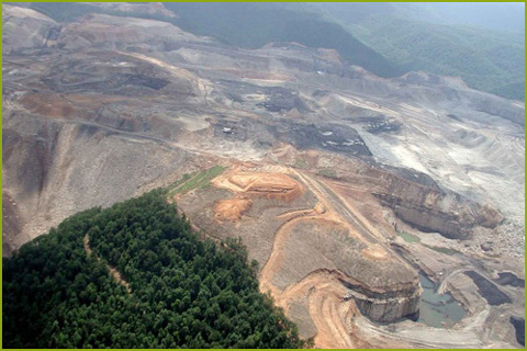 DEFORESTACIÓN EN INDONESIA. KFC utiliza envases desechables que proceden de la empresa Asia Pulp &amp; Paper