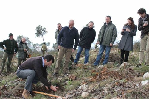 Acuerdo para reforestar la sierra de Na Burguesa (Mallorca)