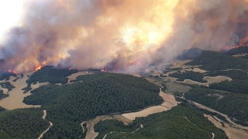 Ingenieros de Montes abogan por recuperar la rentabilidad del monte
