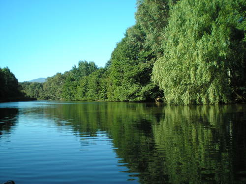 Hallan peces muertos en el río Palmones (Cádiz)