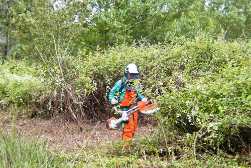 Un programa de inserción laboral de La Caixa y la Junta integra a ocho personas en riesgo de exclusión social