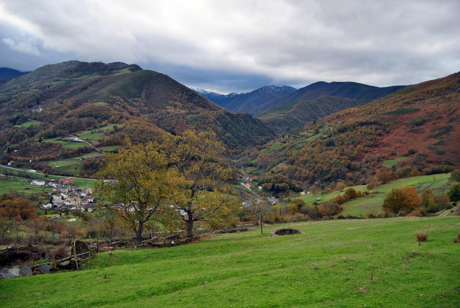 Aragón quiere recuperar las ayudas a las inversiones en todos los municipios con espacios naturales