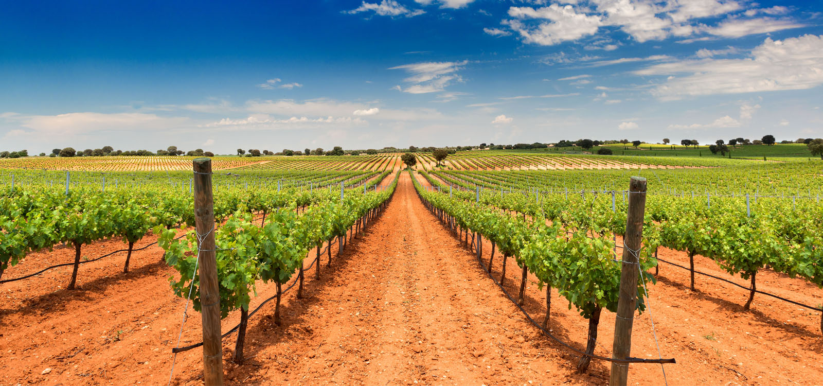 Qué pasa con la política ambiental de Castilla-La Mancha