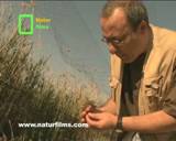 Una productora de TV distribuye documentales gratis para concienciar a la población sobre los problemas ambientales