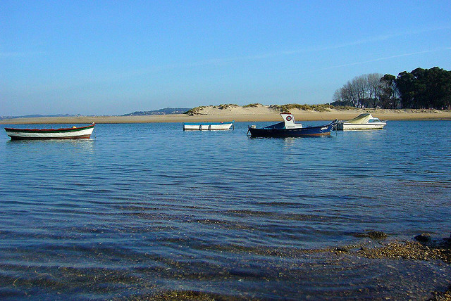 Galicia quiere acabar con el ‘furtivismo’