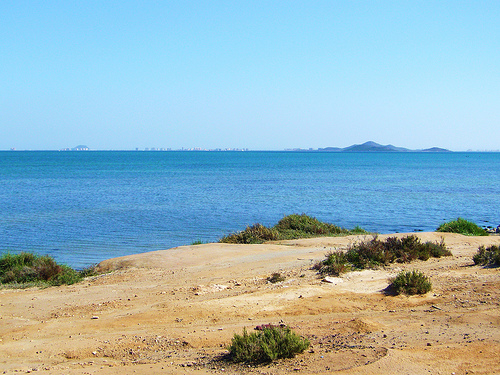 La riqueza en biodiversidad del entorno del Mar Menor duplica la media europea