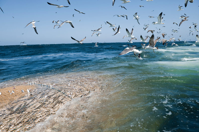 NO a la sobrecapacidad de la flota pesquera europea