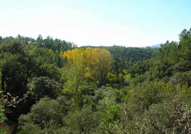 Las ONG ecologistas rechazan la construcción de nuevas carreteras en la Sierra de Aracena