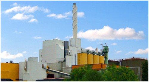 Logran acuerdo para el desarrollo de la biomasa forestal en Chile