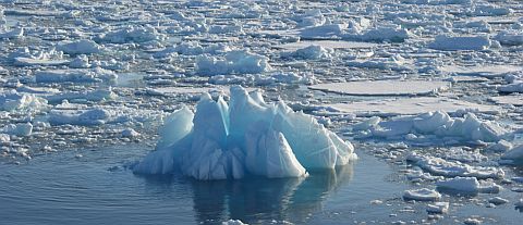 Hielo ártico descendió 50% desde 1972