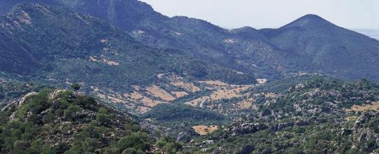 Barcelona acogerá el Centro Internacional de Reservas de la Biosfera Mediterráneas