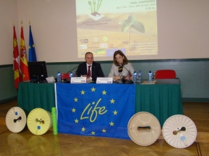 Revolucionaria tecnología para la reforestación