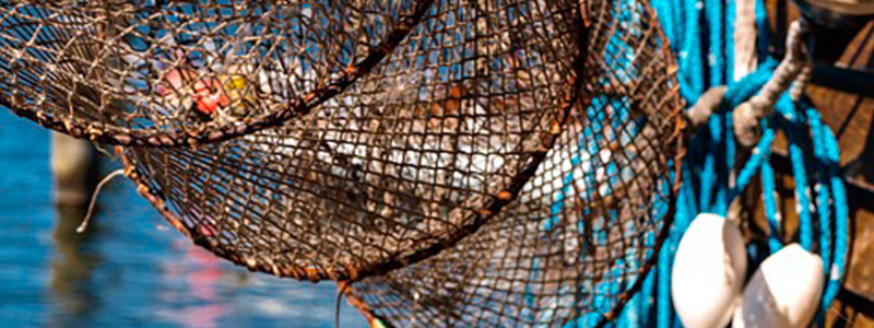 Cooperativas pesqueras de Punta Allen