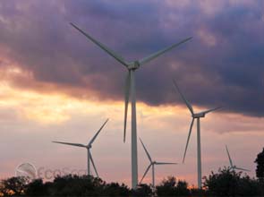 Siemens nets Canadian