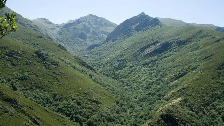 Andalucía autoriza un recurso de inconstitucionalidad contra la nueva Ley de Parques Nacionales