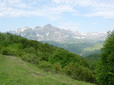 Arranca Bosques Linde