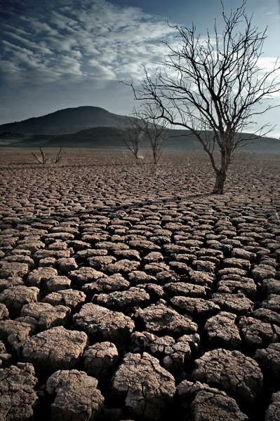 Convención Marco de la ONU de Cambio Climático