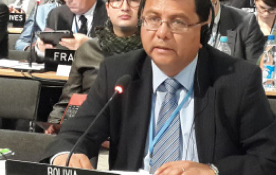 COP-19 BOLIVIA EXIGE REDUCIR EN 40% LA EMISIÓN DE GASES