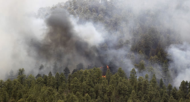 La Gomera se prepara para la campaña contra incendios forestales