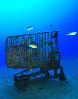 La COP21 puede y debe contemplar la protección de los océanos