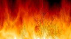 Incendio forestal en la Sierra del Cambrón de Lorca (Murcia)