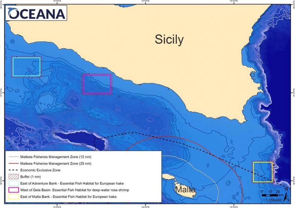 Oceana pide a los países mediterráneos que aprueben las vedas propuestas cuando se reúnan en mayo (vea video)