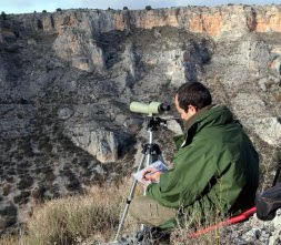 Ornitólogos y el censo de otoño