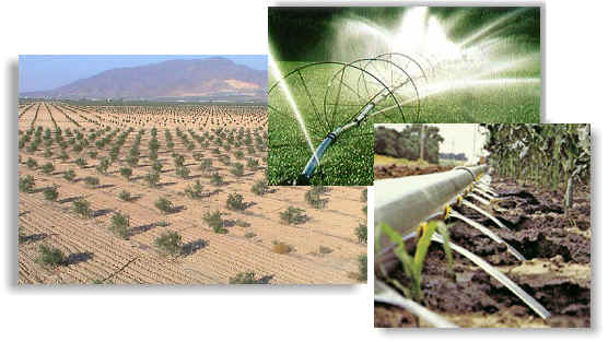 Las zonas de Murcia más vulnerables a la contaminación por nitratos deberán contar con análisis de suelo al inicio de campaña