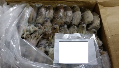 Los servicios de inspección y control de la Secretaría General de Pesca decomisan 24 toneladas de productos pesqueros destinados al mercado español