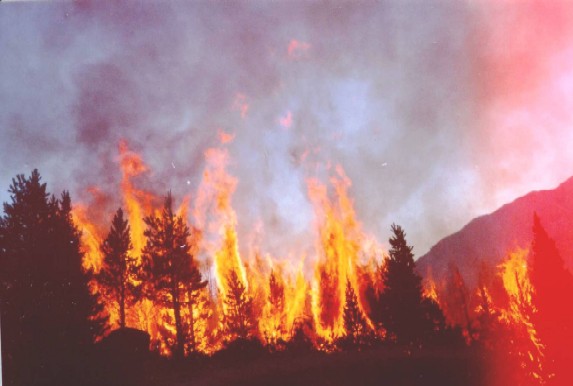 La Junta imparte formación sobre incendios forestales al colectivo de agentes de Medio Ambiente