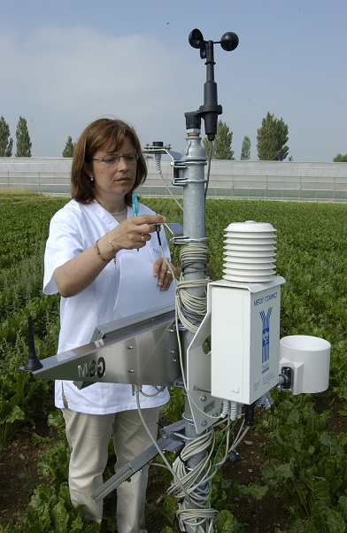 App para móviles con información sobre enfermedades y plagas en cultivos y masas forestales