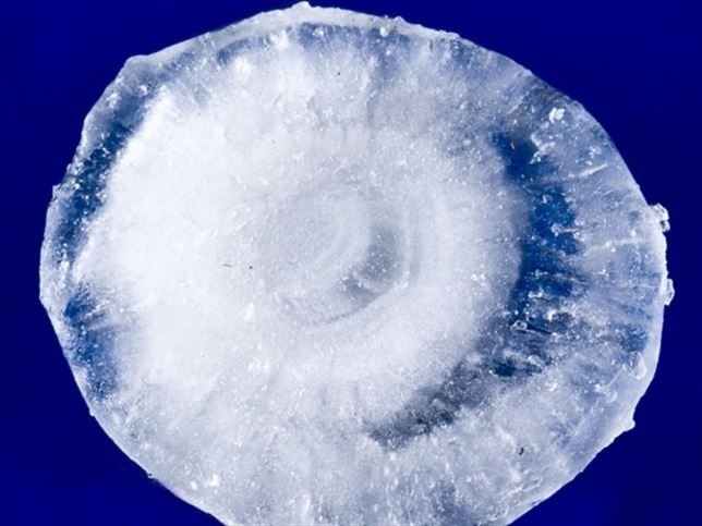 Origen biológico del granizo