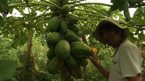Documental “Amazonía Nuestra” resalta biodiversidad peruana