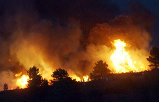 Aragón 280 incendios forestales solo en este año
