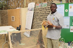 Adaptarse para sobrevivir