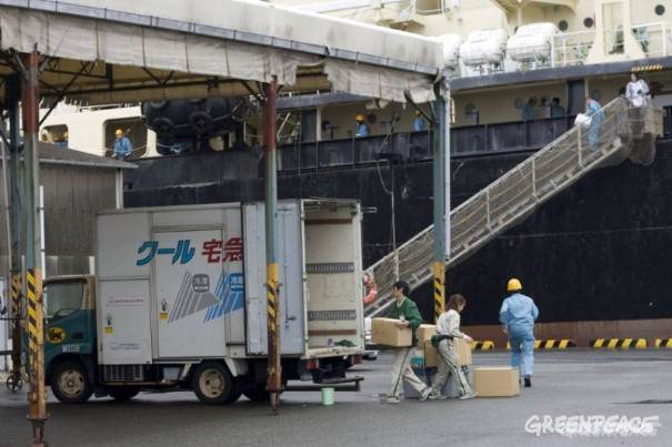 Duro golpe a la industria ballenera