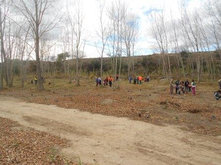 La CHJ inicia tres actuaciones de restauración de vegetación de ribera en la Comunitat Valenciana