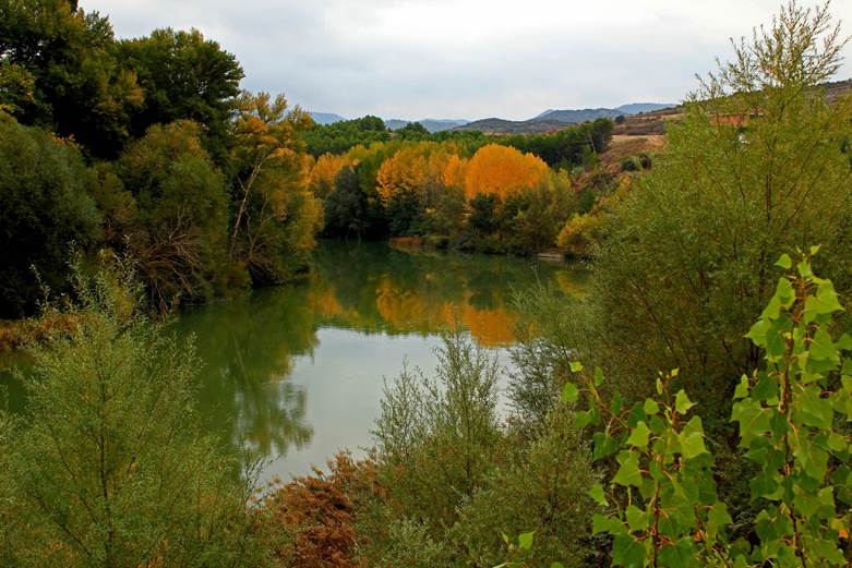 Los proyectos para la recuperación de los ríos Segura (Murcia) y Aragón (Navarra) arrasan en Europa
