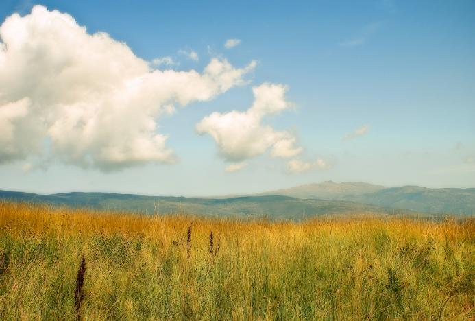 La agricultura es crucial para la protección de especies amenazadas