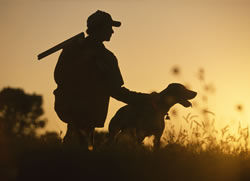 Cazadores andaluces solicitan periodos más amplios de vedas del conejo y el zorzal